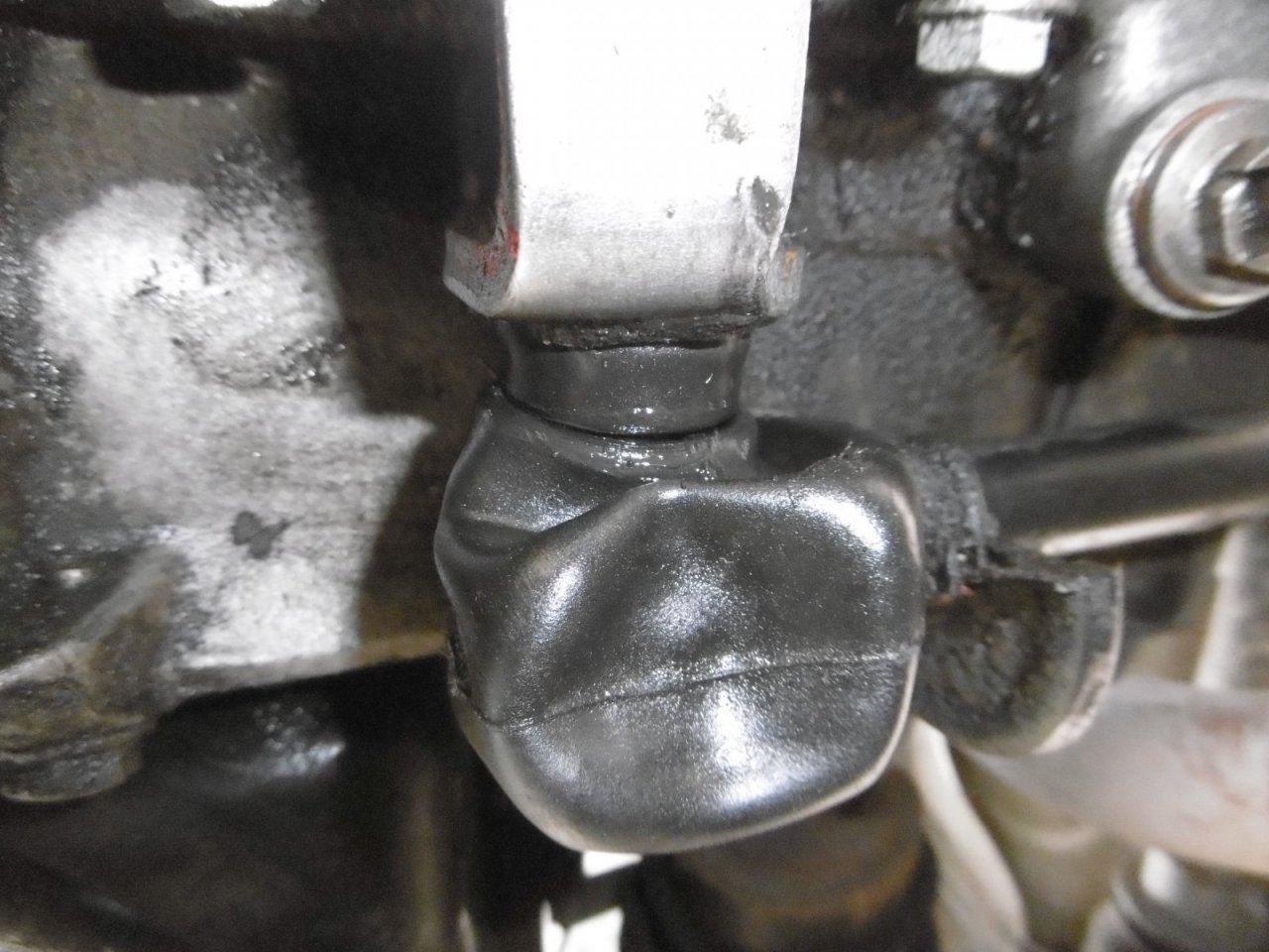 P1000030.JPG