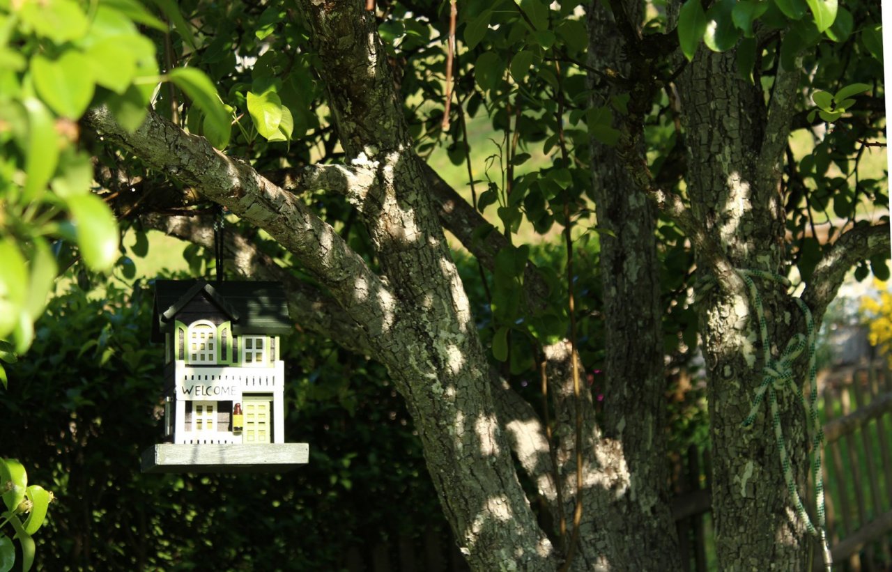 20180505_Hotel_a_oiseaux_05_r.jpg