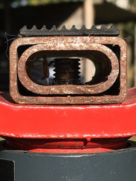 986986956_IMG_2127copie.jpg.60492ad66111020ea9c3e657e7a6cb09.jpg