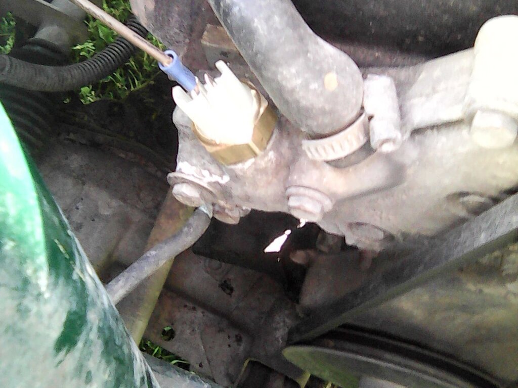 IMG0290A.jpg