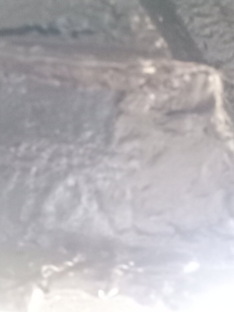 20220718_120042.jpg