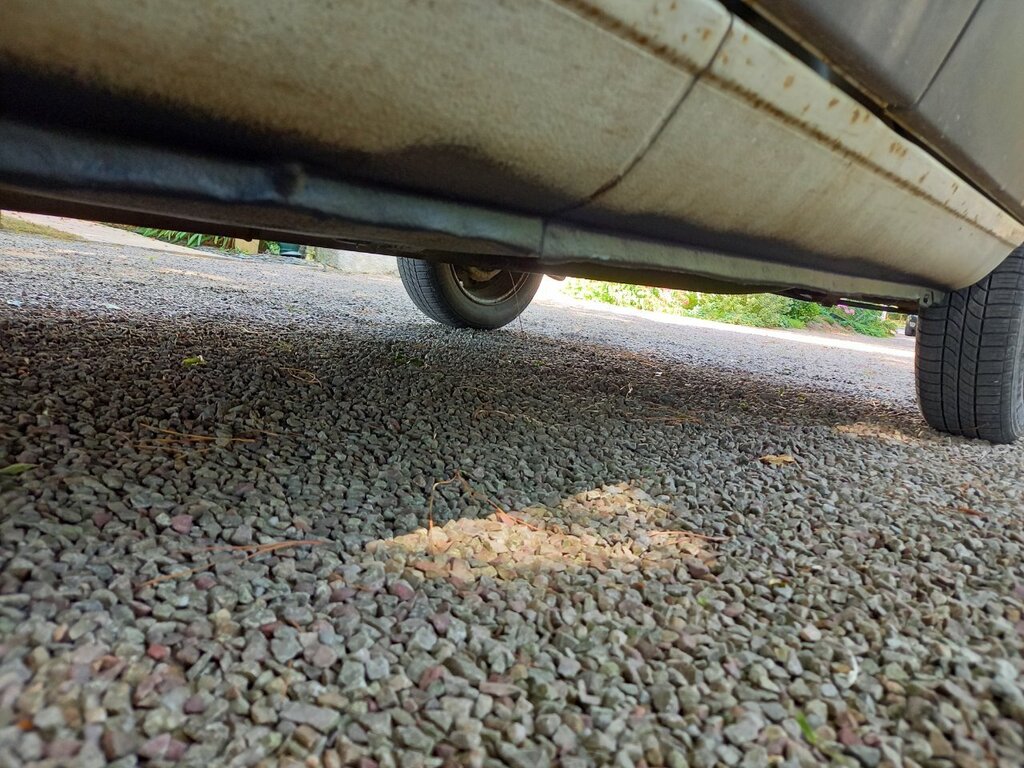20220718_120101.jpeg
