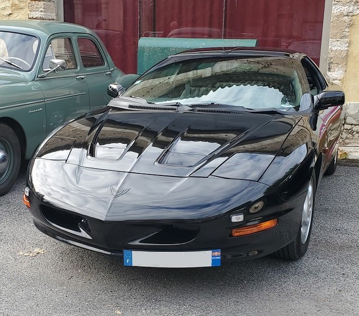 firebird.jpg.4488a7ab74fa54f8dcdbe990dd09910e.jpg