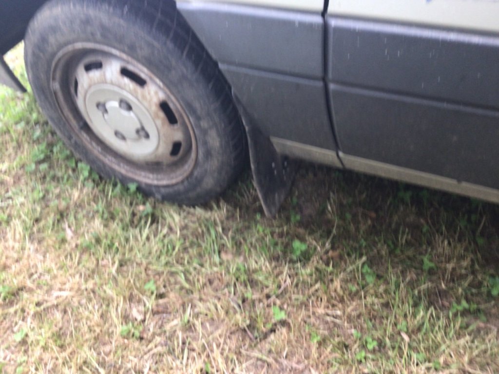 IMG_0263.jpeg