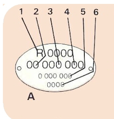 Capturedcran2026-05-28191524.png.16b45d805da3473f9dfc551ee639f91d.png
